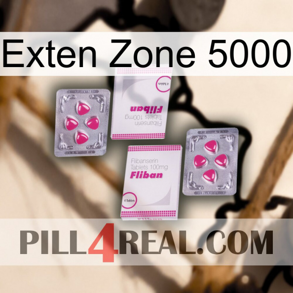 Exten Zone 5000 33.jpg